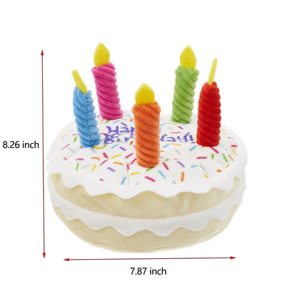 Happy Birthday Cake Toy